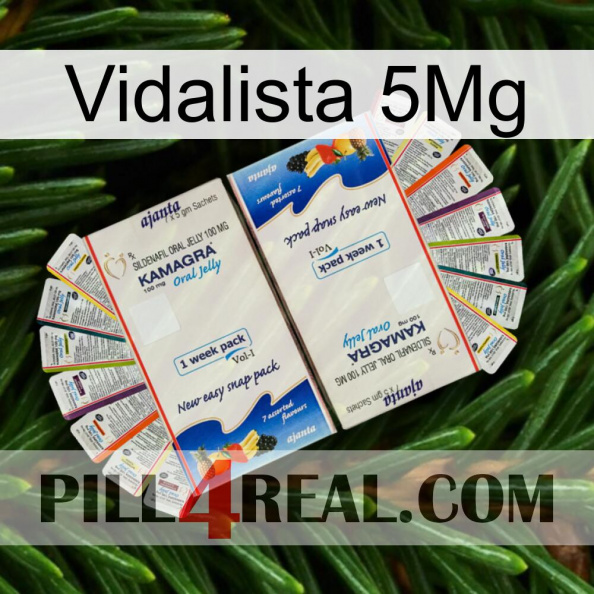 Vidalista 5Mg kamagra1.jpg